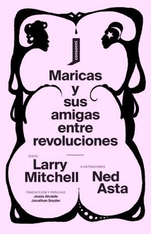 Maricas y sus amigas entre revoluciones