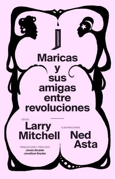 Maricas y sus amigas entre revoluciones