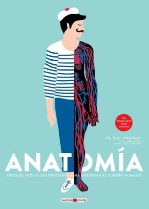 Anatomía