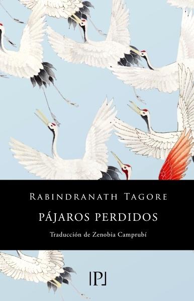Pájaros perdidos (Sentimientos)