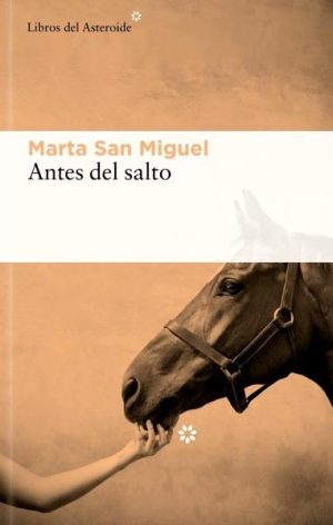 Antes del salto