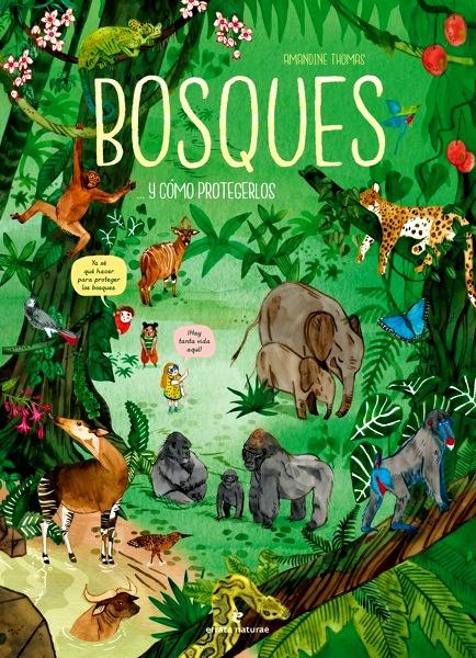 Bosques... y cómo protegerlos