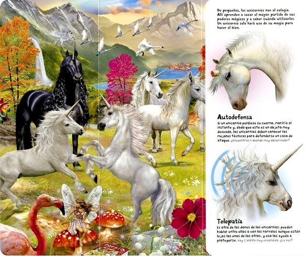 Busca y descubre Unicornios
