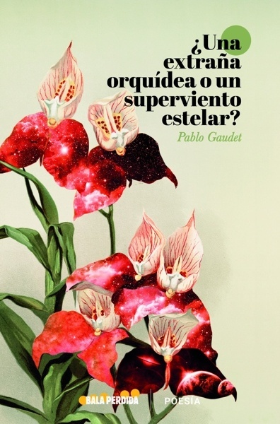 ¿Una extraña orquídea o un viento superestelar?