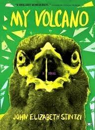 MI VOLCÁN