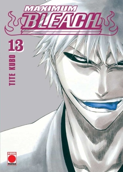 Bleach max